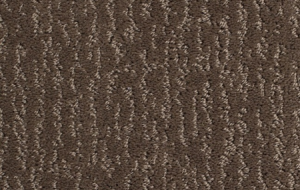 Beaulieu Windswept weathered acorn (2)